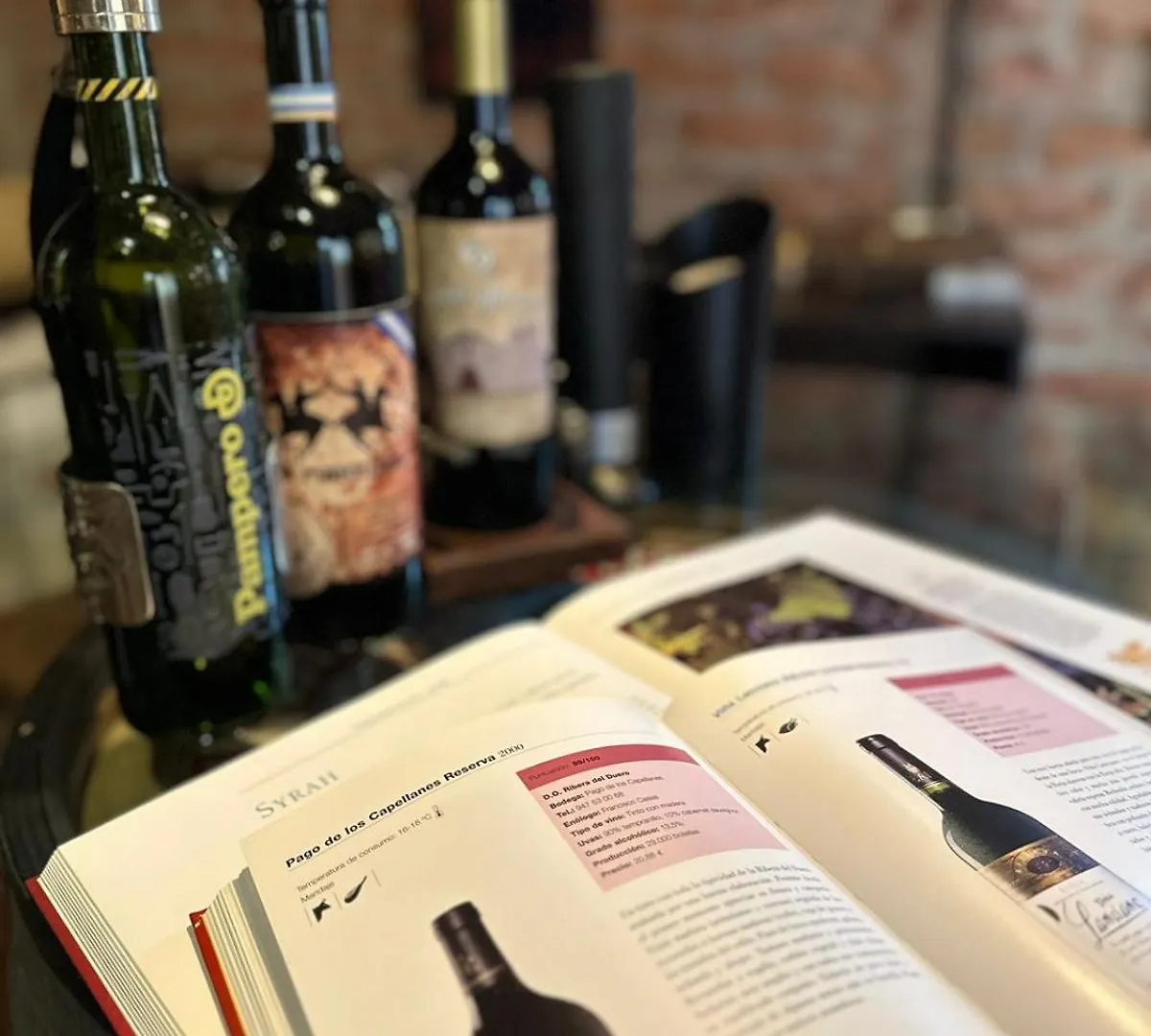 Hotel Boutique Casa & Cava Mendoza