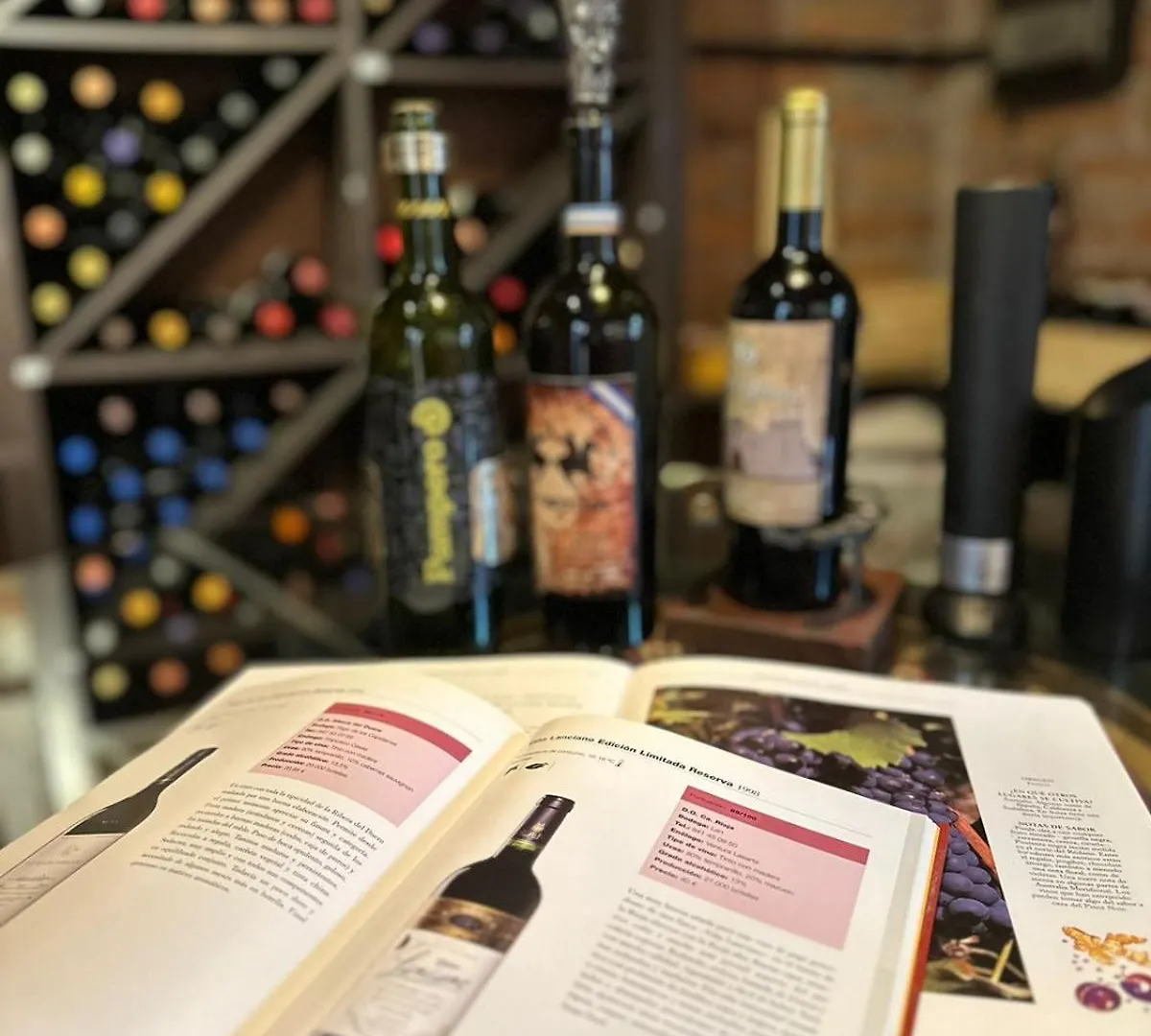 Hotel Boutique Casa & Cava Mendoza